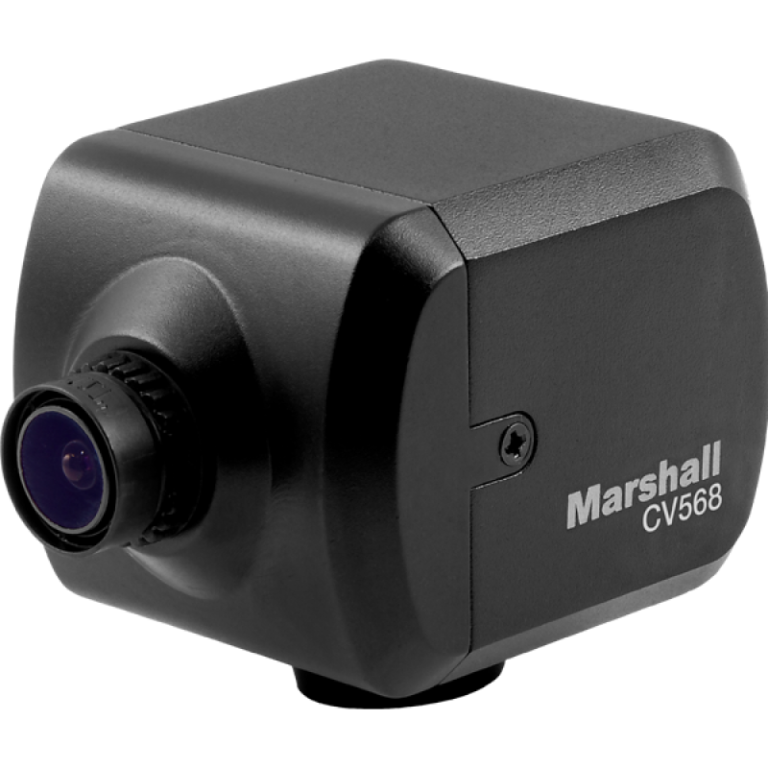 PALUCHE MARSHALL CV 568